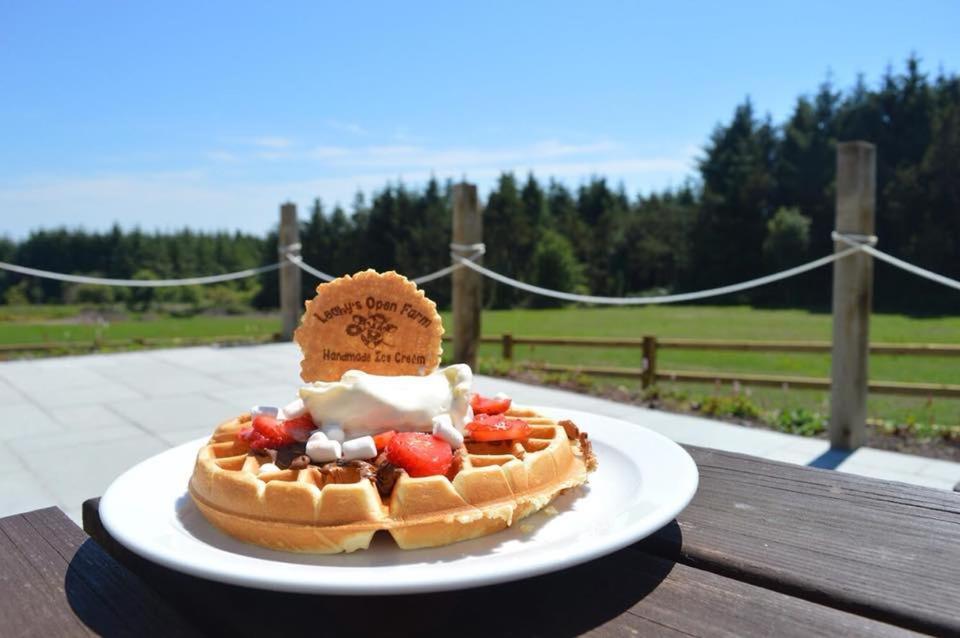 Hotel Leahys Pod Park Cork Esterno foto